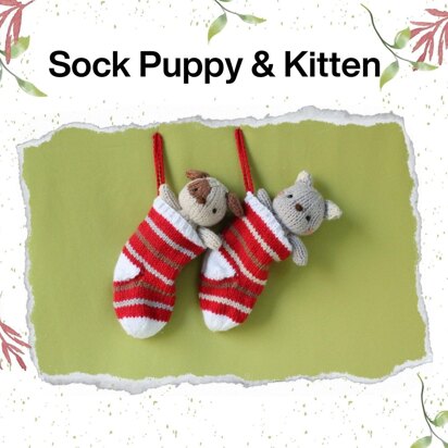 Sock Puppy and Kitten