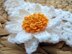 Lovely Crochet Daisy Flower Headband