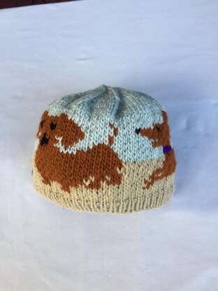 Darling Dachshunds Hat