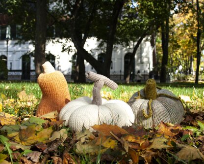 Three Halloween pumpkins