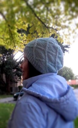 Intwined Slouchy (Knitted Cap)