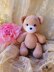 Baby Bear Plush