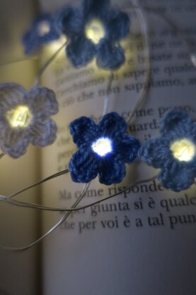 Forget Me Not
