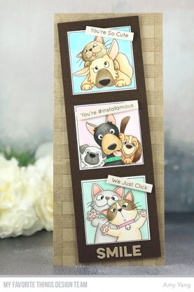 My Favorite Things Birdie Brown Stamps 6"X8" - Picture Perfect