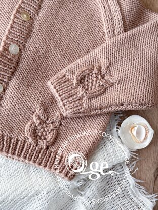 Round neck raglan sleeve cardi with cabled owls - P079