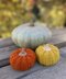 Cute pumpkin