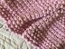 Pink Blush Berry Blanket