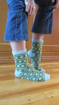 Eggs and Herbs socks