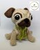 Peg the Pug | Amigurumi Pug Dog Toy