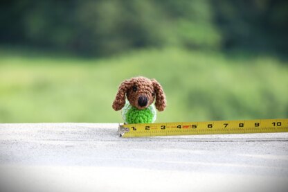 Mini Dachshund in Sweater