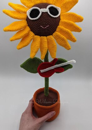 Rockin' sunflowers