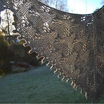 Intriguing Shawl