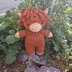 Harry the Heeland Coo