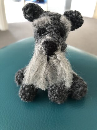 Schnauzer