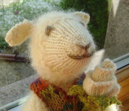 James the Galway Sheep