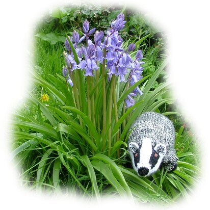 BADGER by Georgina Manvell