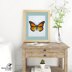 Monarch Butterfly - Cross Stitch Pattern by Honeyeater Crafts