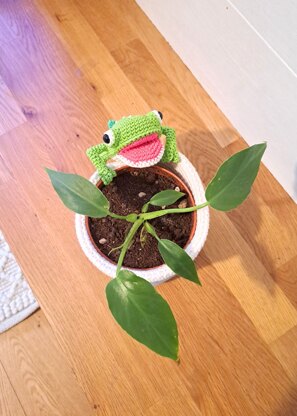 Frog Hanging Planter