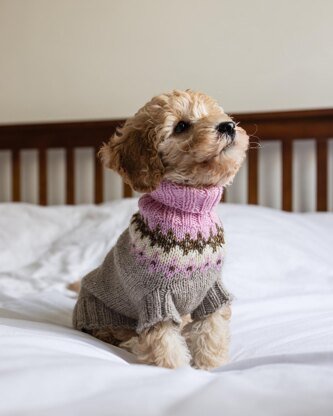 Dog Yoke Sweater Kit