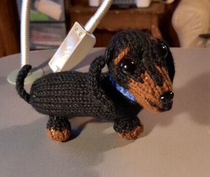 Dachshund for Joseph