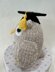 Wise Owls