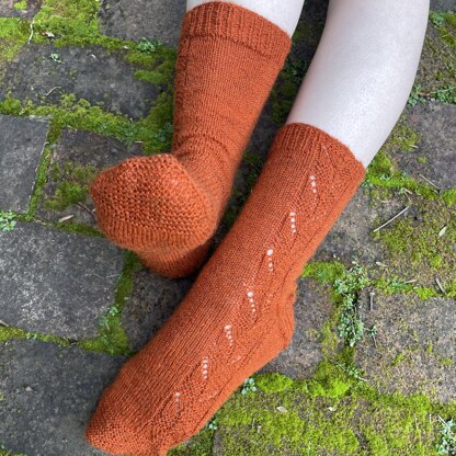 Gingernut Socks TJD15