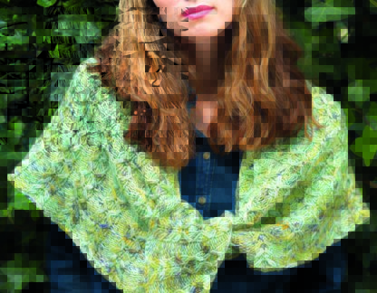 Prospect Park Shawl in Malabrigo Worsted - PDF