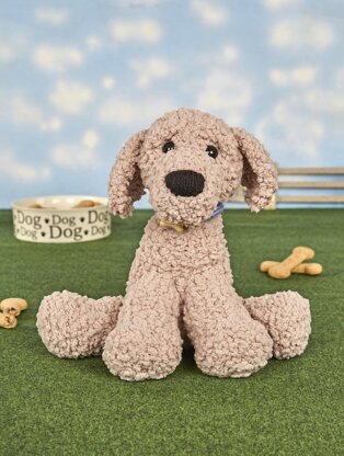 Larry the Labradoodle