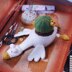 Duck planter/ duck pot with cactus (pin cushion)