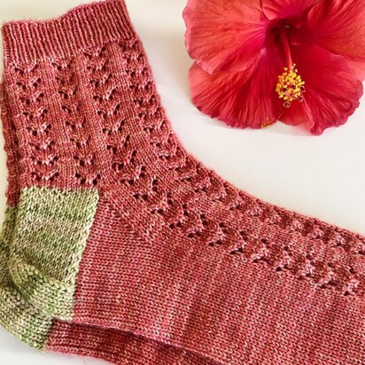 Firefly Field Socks - knitting pattern