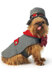 McCall's Pet Costumes M7004 - Paper Pattern Size All Sizes In One Envelope