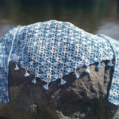 Shells in a Net Shawl