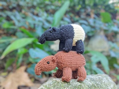 Mini Tapir Cousins Floyd and Elena