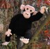 Chesney Chimpanzee Superfast Knitting Pattern