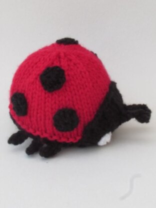 Ladybird Chocolate Orange Cosy