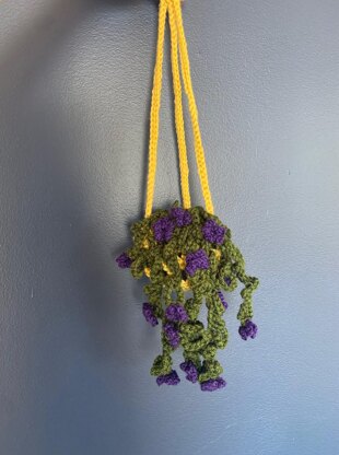 Snowtopia hanging plant