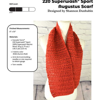 Augustus Scarf in Cascade Yarns 220 Superwash Sport - DK695 - Downloadable PDF