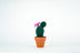 Crocheted Cactuses by Sarah Abbondio