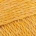 Maize (178X)