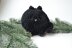 Plush black cat