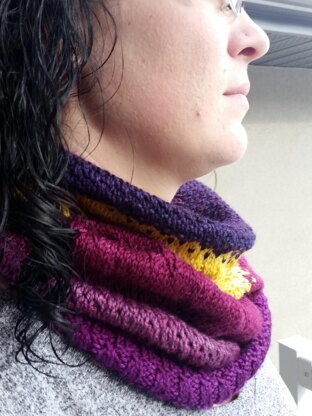 Stitch Bliss Cowl