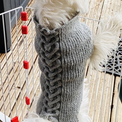 Dog Jumper - Haggis - knitting pattern