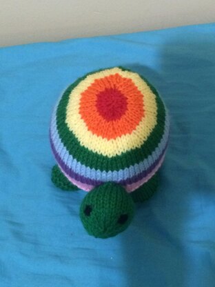 Cute Rainbow Turtle Pattern
