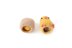 Henrietta the Hen with Reversible Egg to Chick