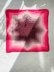 Supernova Blanket