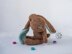 Bunny Biscuit
