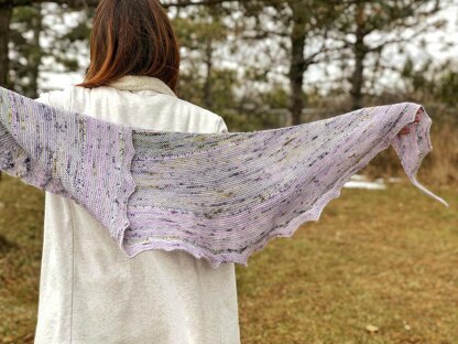 Frozen Wildflower Shawl