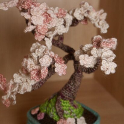 Cherry Blossom Bonsai