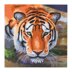 Crystal Art Tiger, 18x18cm Card Diamond Painting Kit