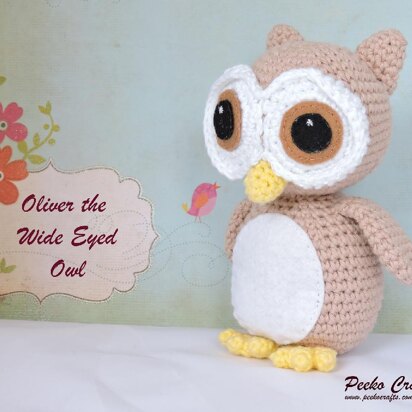 Oliver the Wide Eyed Owl